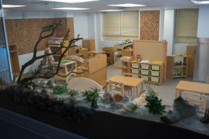 Our windows are so awesome, and filled with natural environments to help us learn!